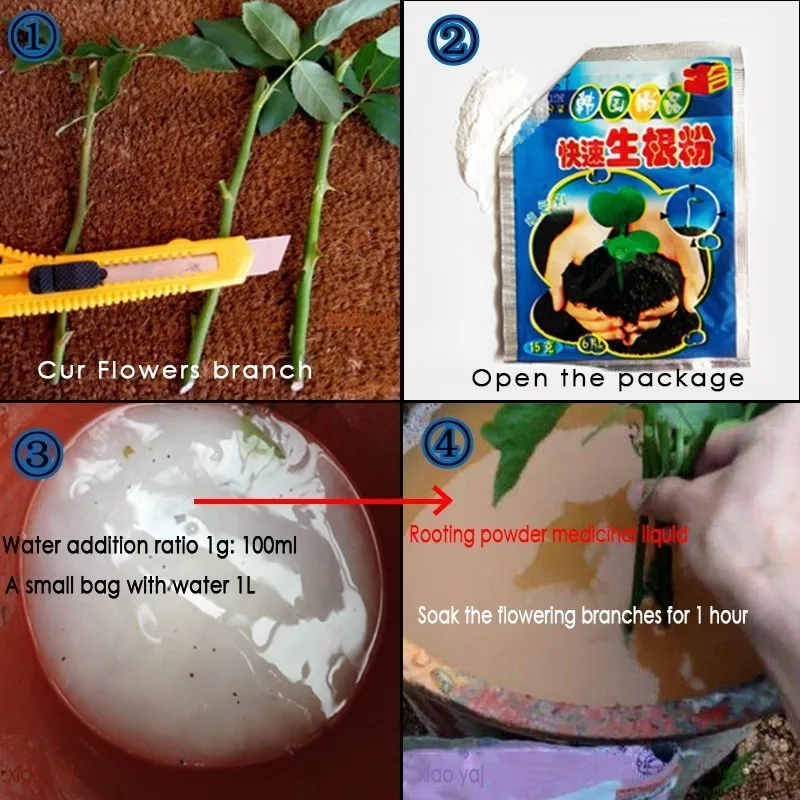 10 Bag 10g Rooting Powder for Cuttings Root Hormone Root Stimulator Fertilizer and Soil Improver Grow New Plants from for Farm gallery 4