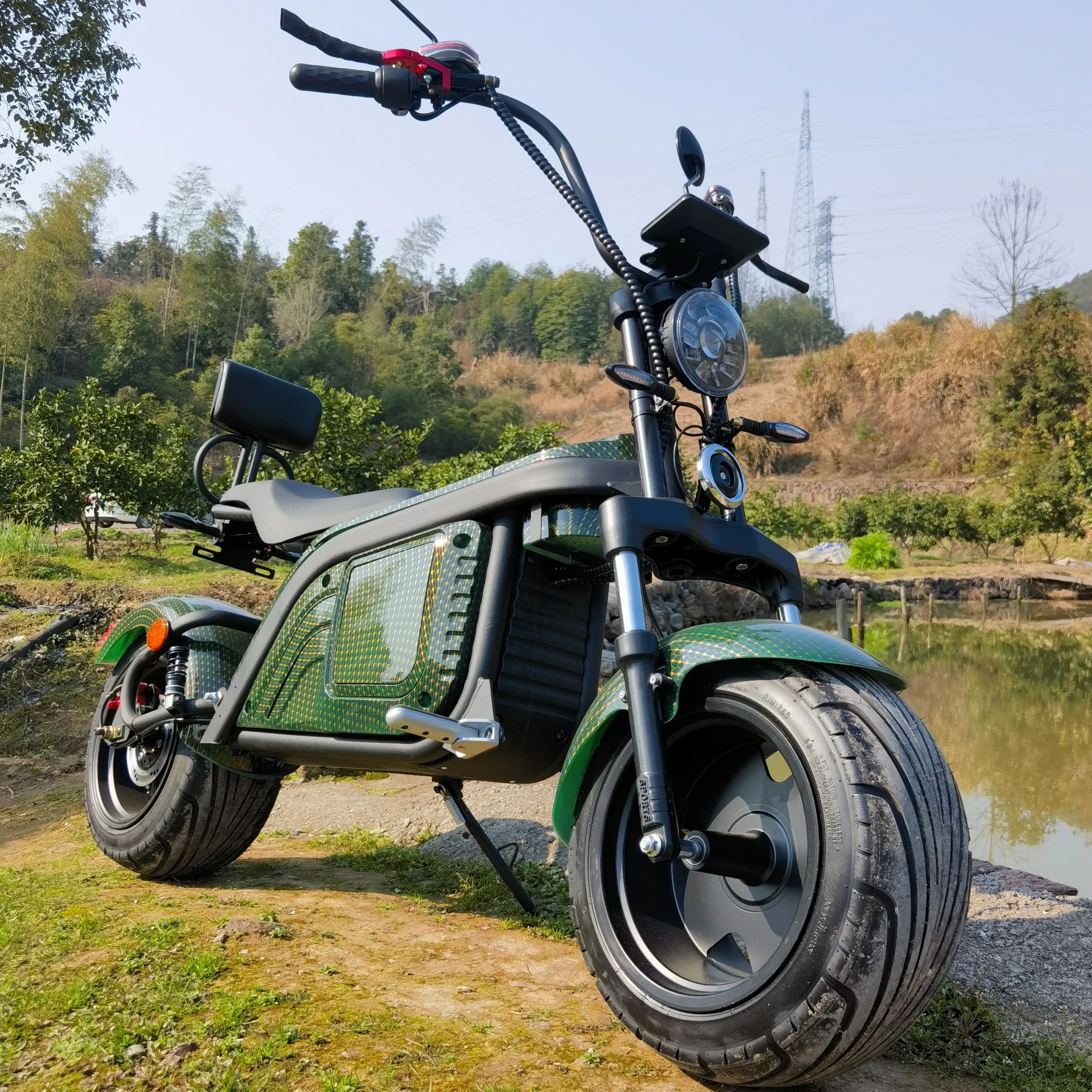 New Disc Brake Electric Scooters EEC/COC Citycoco 1500W/2000W/3000W  Bike Steel Frame For Men  Motorcycles