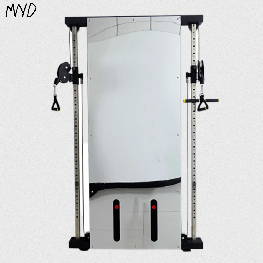 Wall Mounted Dual Trainer Multi Functional Trainer Gym Equipment