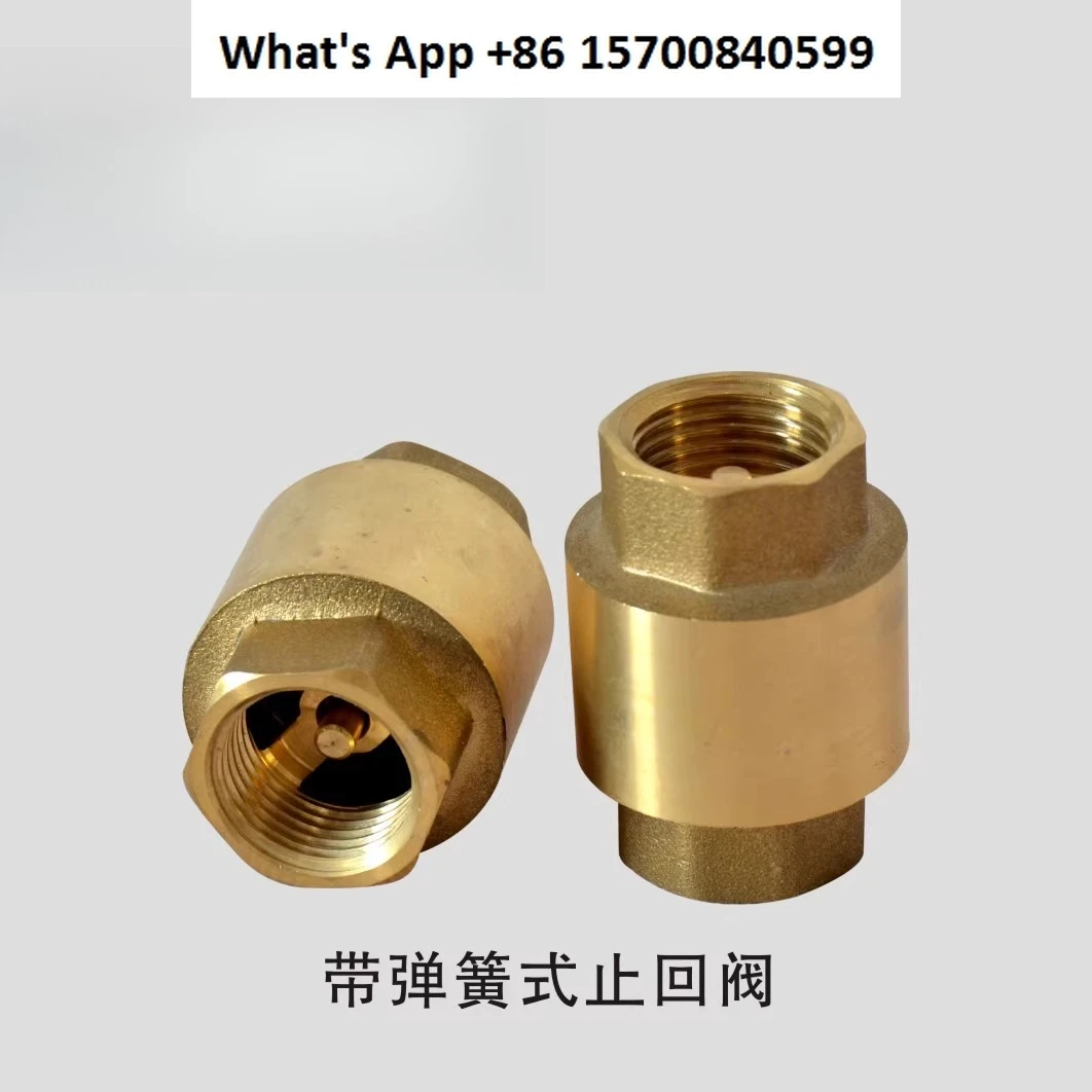 Hot forging brass vertical check valve for stainless steel float valves