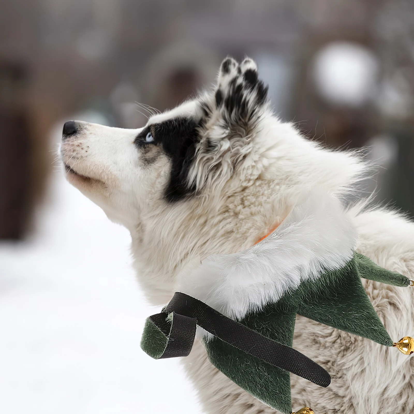 

1 set Bib Scarf For Cats Dogs Holiday Hat Collar Christmas Hat Collar Bell Holiday Party Supplies Dog Cat Accessory