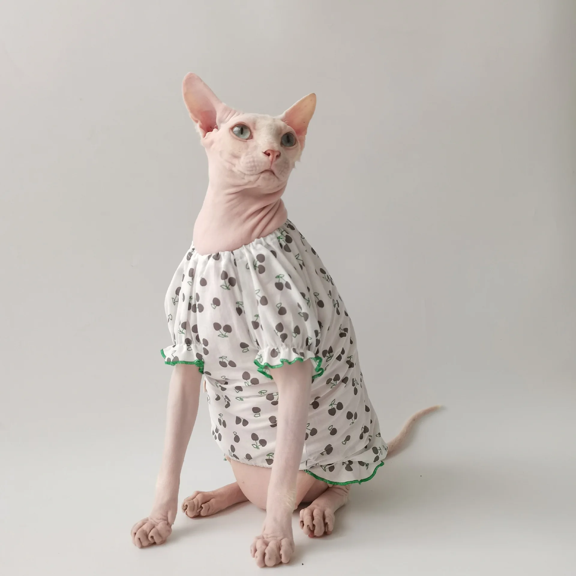 Spring and Summer Cotton Cherry Pineapple Skirt Hemming Technology Breathable and Comfortable Sphinx Hairless Cat German Clothes