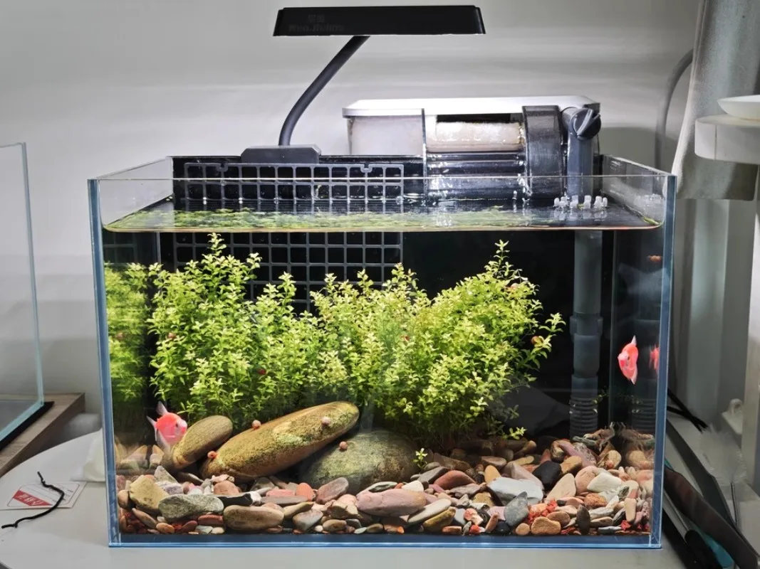 

Full Spectrum Sunlight Fish Tank Plant Lamp,LED Aquarium Light RGB Light For Colorful Plant, Small Fish Bowl, Mini Fish Tank