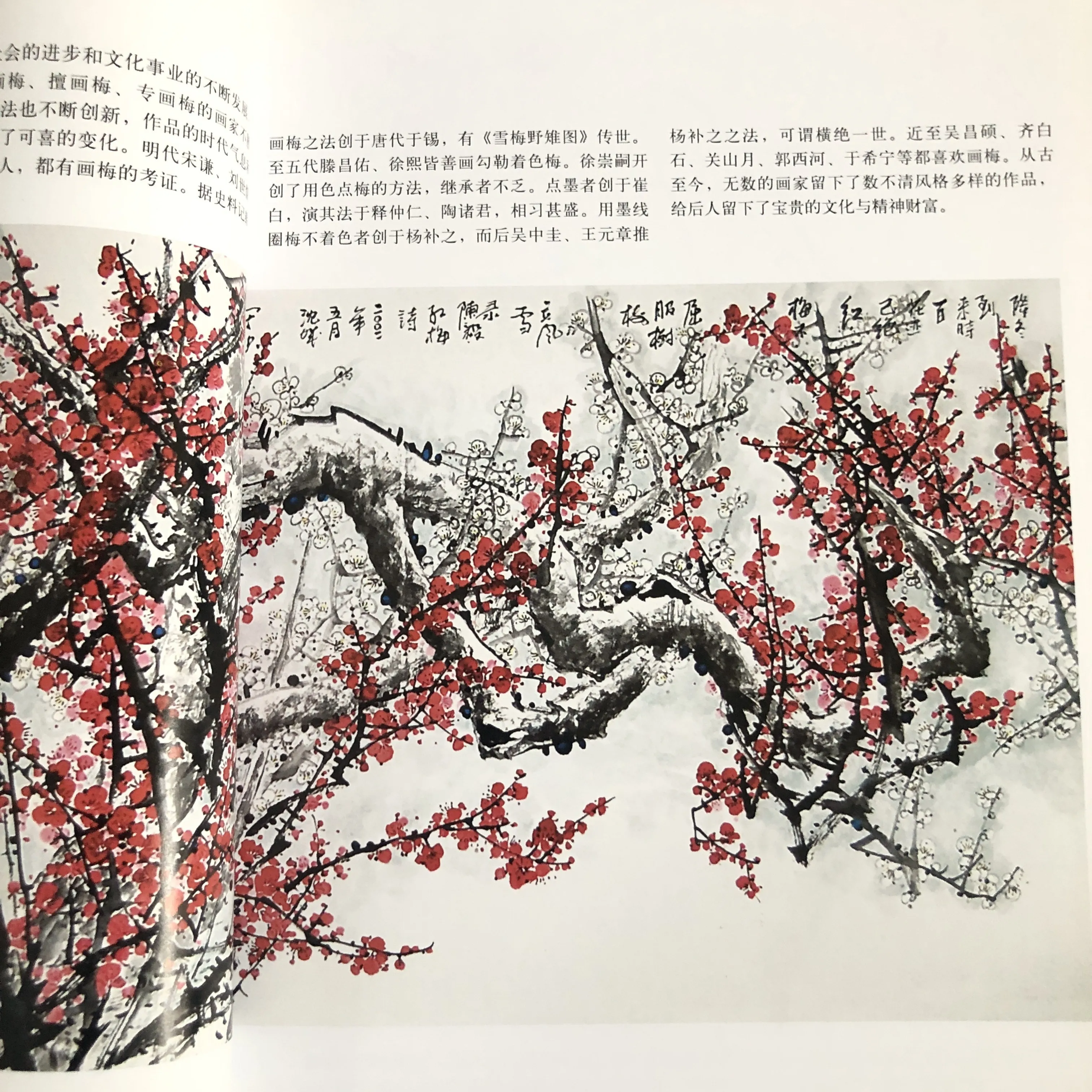 Plum Blossom Coloring Methods: Xieyi Style Ink Wash & Pigment Blending Tutorial