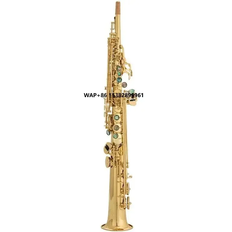 Salinte B Tone Customizable High Saxophone Double Curved Neck Straight Tube for Adult Beginners and Examinations
