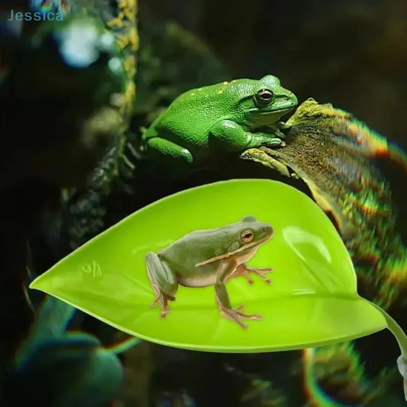 Leaf Suction Cup Reptile Terrace 1