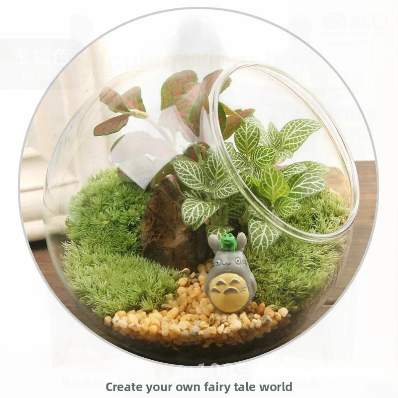 

DIY Moss Micro Landscape Kit Creative Handmade Green Plant Office Decor Glass Bottle Set Eco-Friendly Ornament Gift