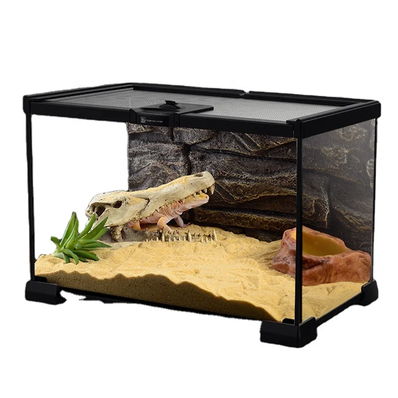

Qbellpet Reptile Glass Terrarium Ecological Landscape Horned Frog Spider Guarding Palace Lizard Tortoise Glass tank