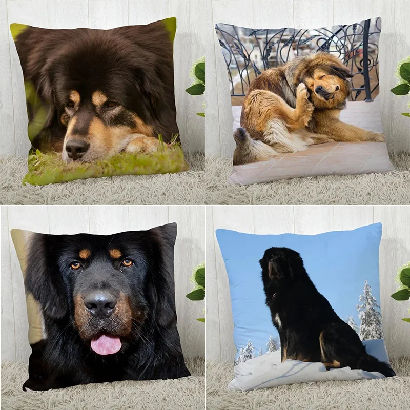 DecoracióN Del Hoga…