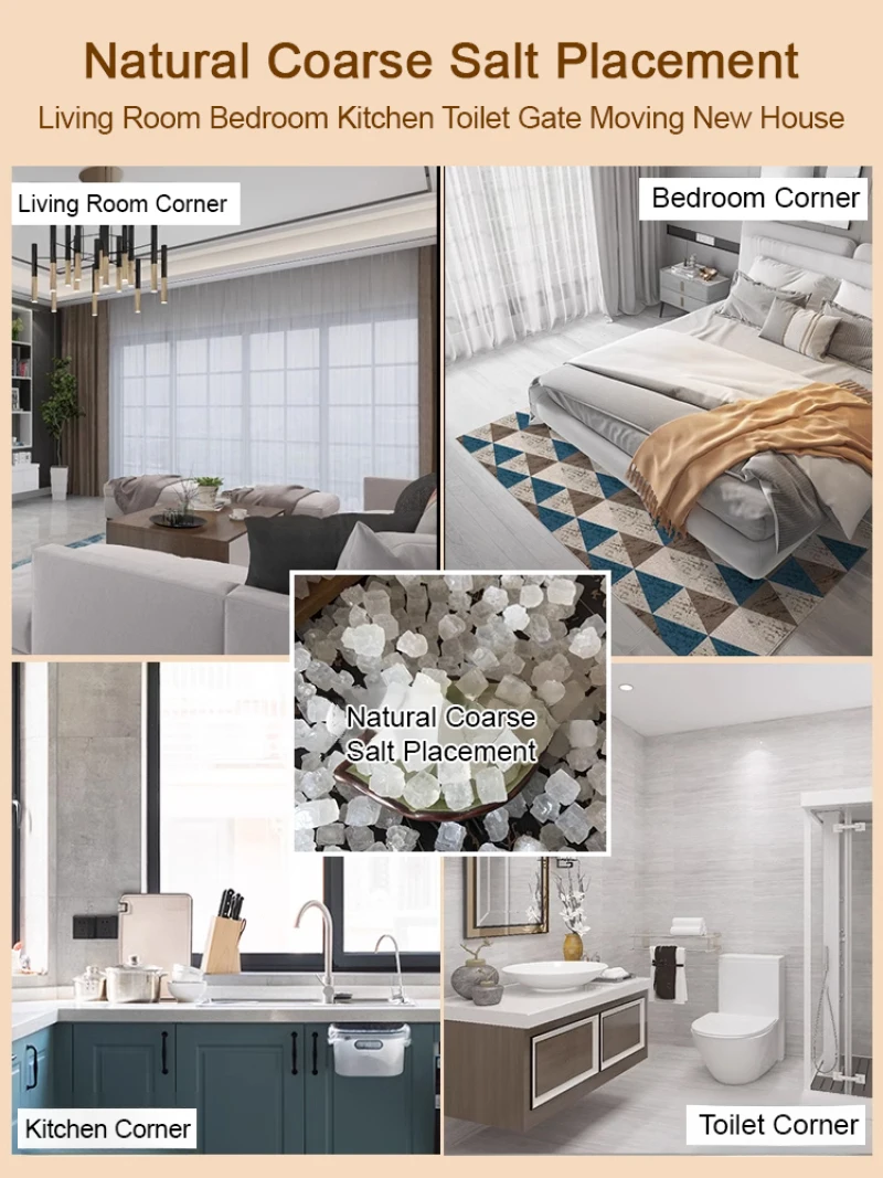 أقراص الملح المحظوظة ملح المنزل إزالة المغناطيسية أساسيات هووسورمينغ تنقية المنازل الجديدة شاكر الملح الطبيعي