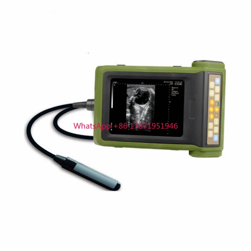 

RKU10 Kaixin cow vet veterinary equine portable veterinary ultrasound for bovine equine cattle pig goat animal scanner