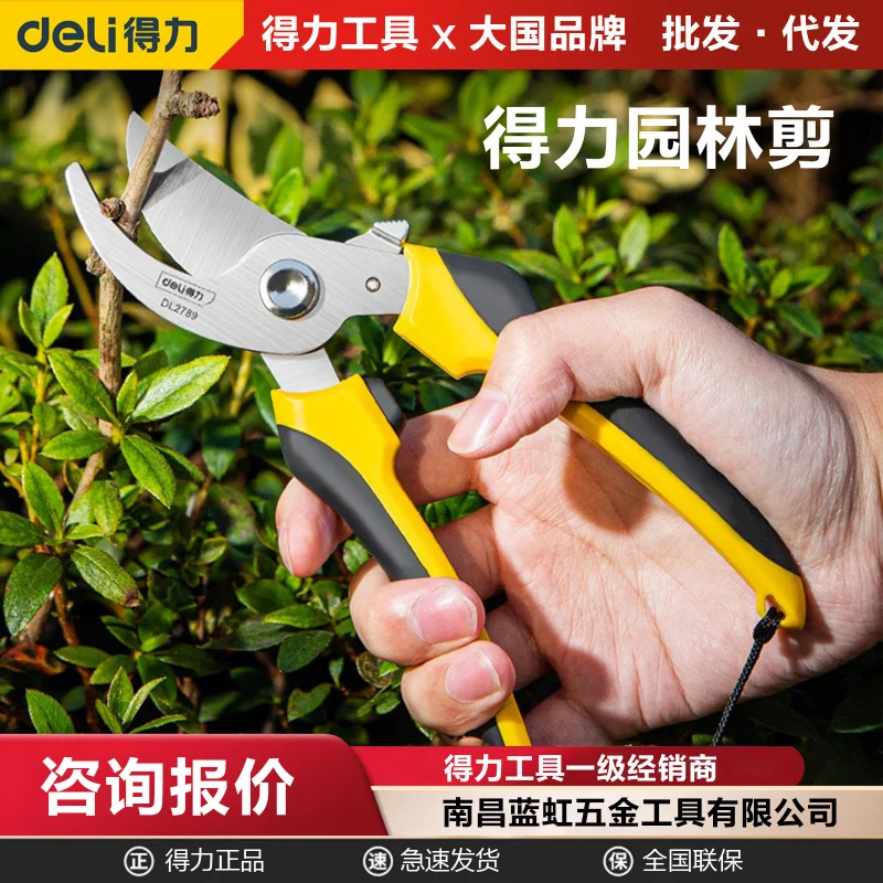 

Deli Tool Flower Branch Pruning Scissors Floral Pruning Branch Scissors Fruit Tree Shears Garden Shears Garden Scissors Gardenin