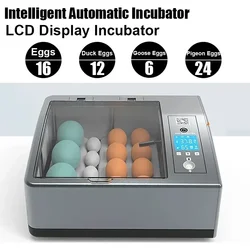 Fully Automatic LCD Display Incubator Dual Power Incubator Can Accommodate 16 Eggs /12 Duck / 6 Goose / 24 Pigeon Eggs Home Tool