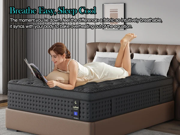 LayRoad 12/14-Inch Memory Foam Spring Mattress Single/Double/Queen/King Sizes Boxed Mattress Medium Firmness Pressure Relief