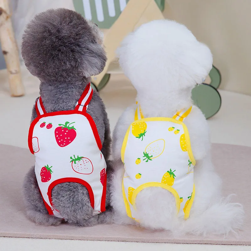 Physiological Pant For Cats Dog Reusable Female Diaper Sanitary Panties For Small Dogs Chiwawa Pet Menstruation Shorts Underwear