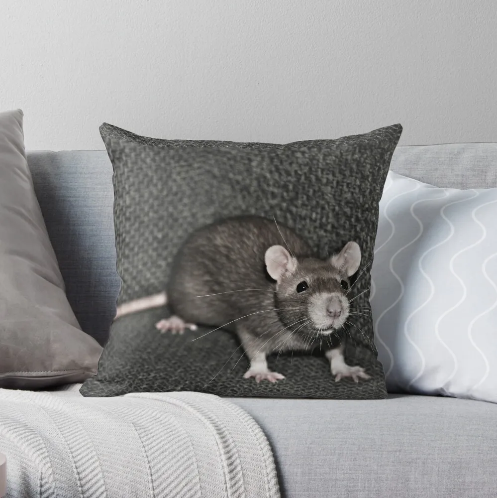 

Curious Rat Throw Pillow Sofa Cushion Cover Pillowcase Cushions Cover Pillowcases Cushion Covers Sofa