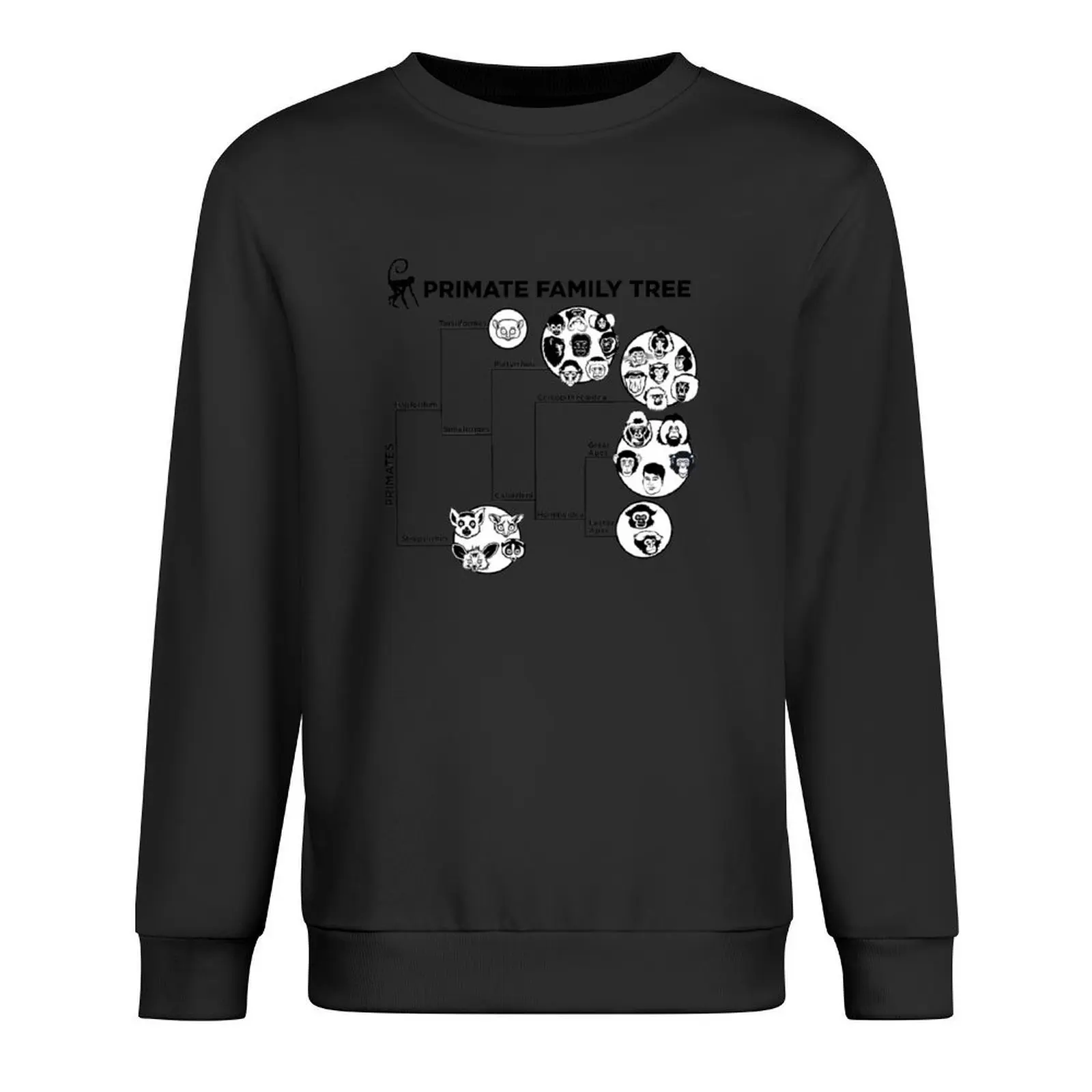 

Primate Family Tree Pullover blouse men's clothing tracksuits clothes for men new sweatshirts
