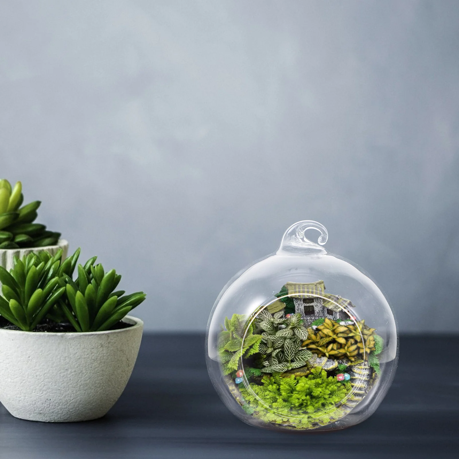 

12Pcs Clear Glass Globe Terrarium Hanging Planter DIY Micro Landscape Indoor Decorative Hanging Terrarium Air Plant Globe