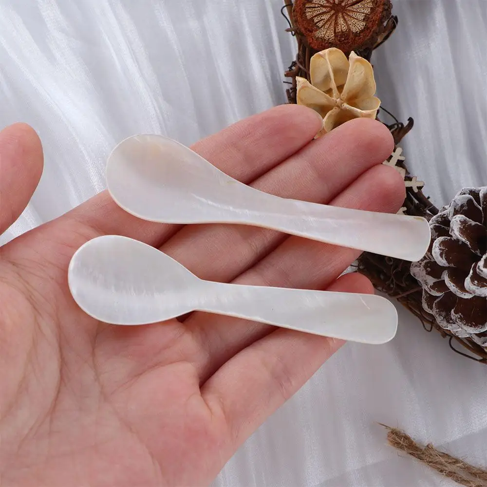 

Seashells Conch Natural Teaspoon Stirring Tool Coffee Scoop Caviar Spoons