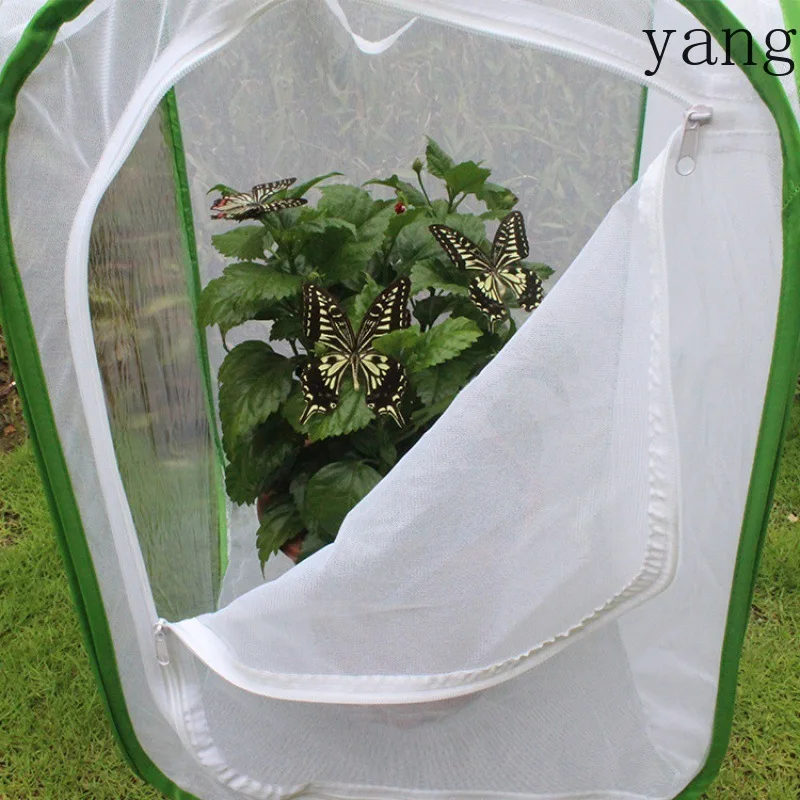 CX butterfly cage insect net butterfly pet cage seedling light-transmitting incubator