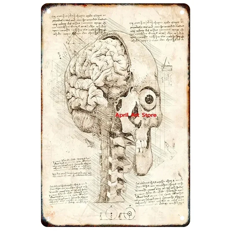 Vintage Metal Sketch Anatomy Physiology Human Structure Poster Skeleton Aesthetics Wall Art Room Decor iron painting tin sign