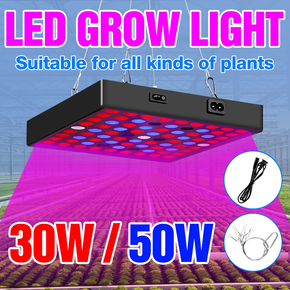 

Led Grow Light Full Spectrum Greenhouse Phyto Lamp Quantum Board Plant Lights For Indoor Flower Seedling Grow Tent Hydroponic