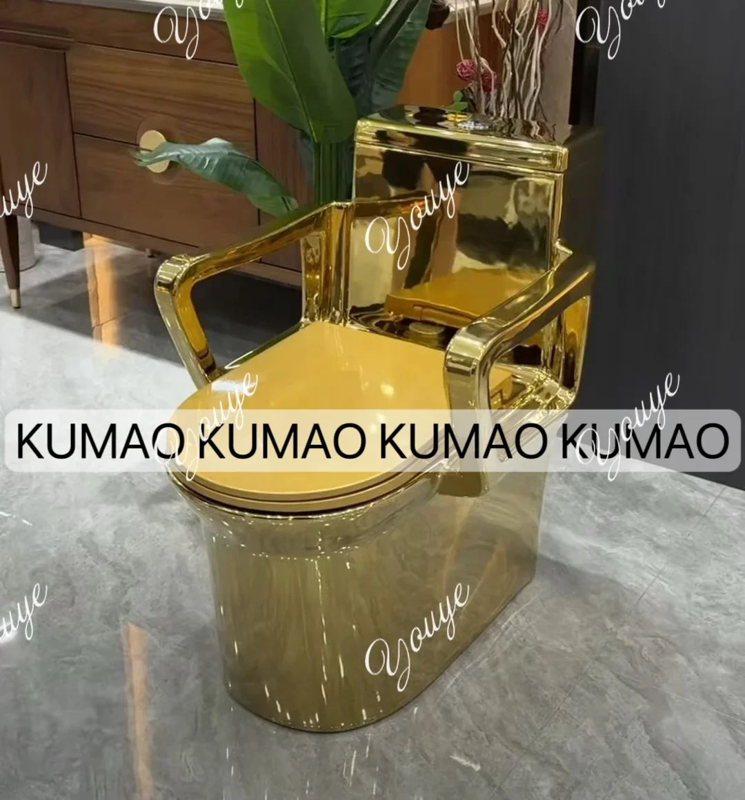 BbU Elderly With Handrails, Pregnant Women And Children, Bathroom, Household Ceramic Color Toilet, European Personalized Gold To