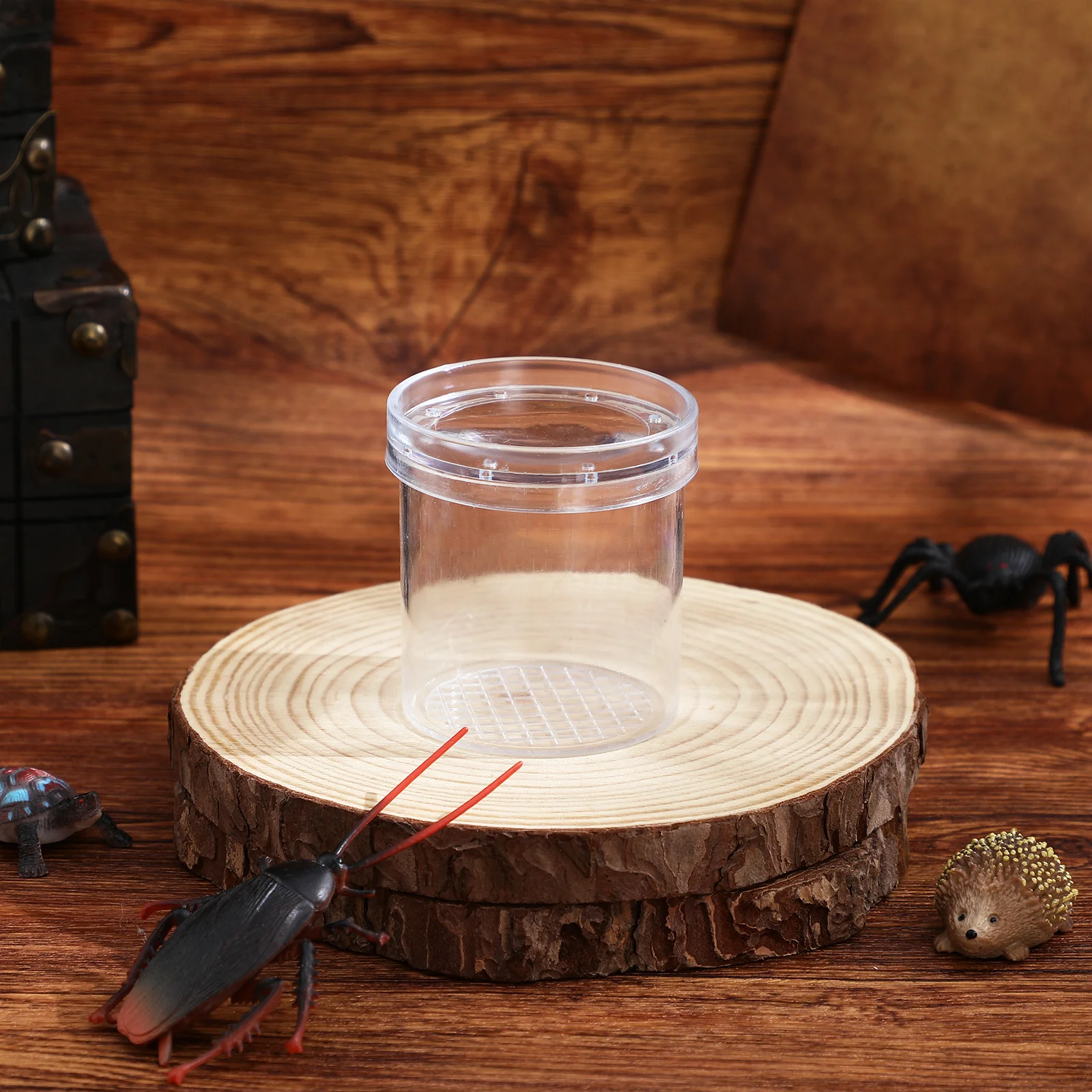 

6pcs Insect Observation Cup Transparent Magnifier Jar For Kids Science Exploration Biology Learning Educational Outdoor Activity