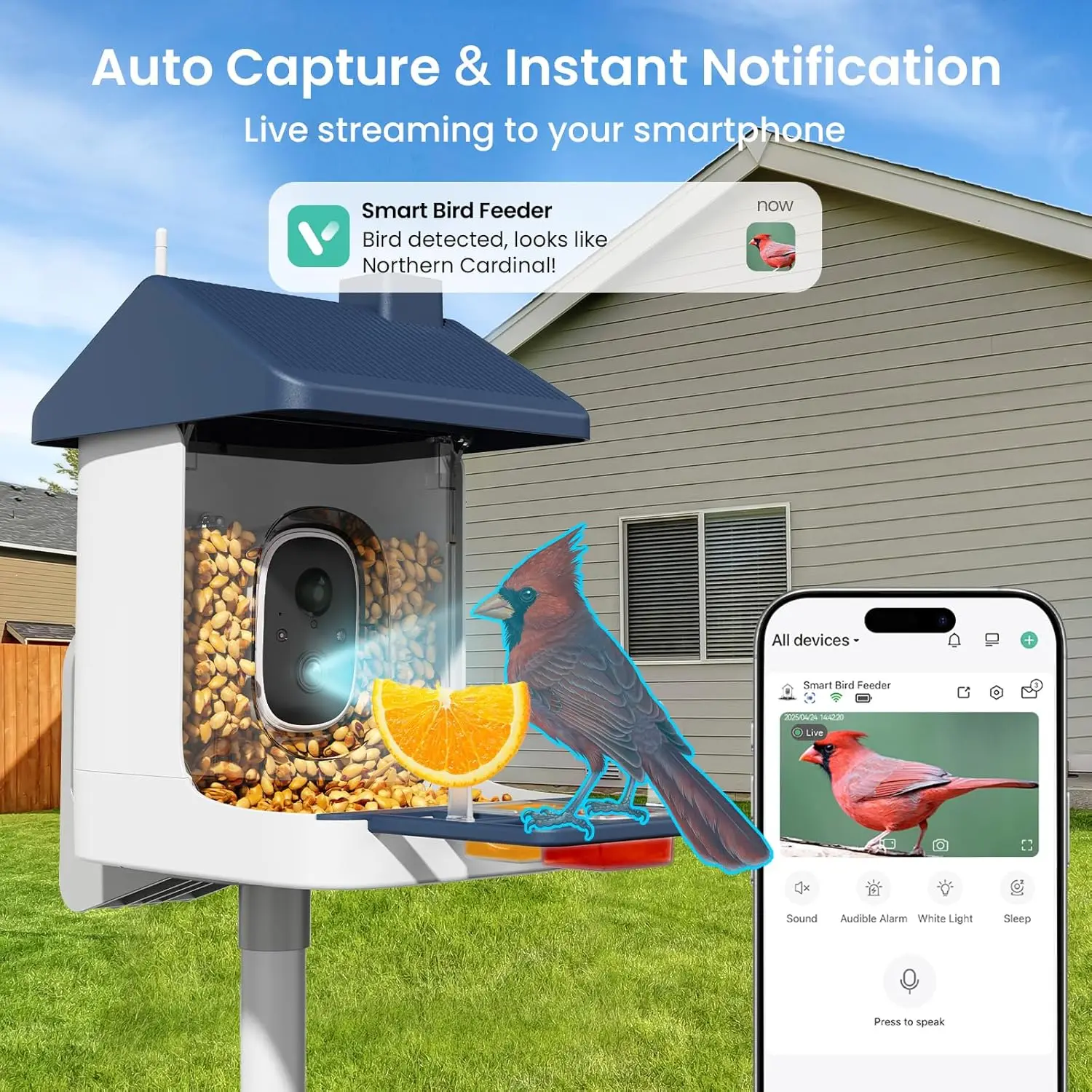 Solar-Powered Smart Bird Feeder with 2K Camera, AI Bird ID & Instant Alerts for Outdoor Bird Watching photo 3