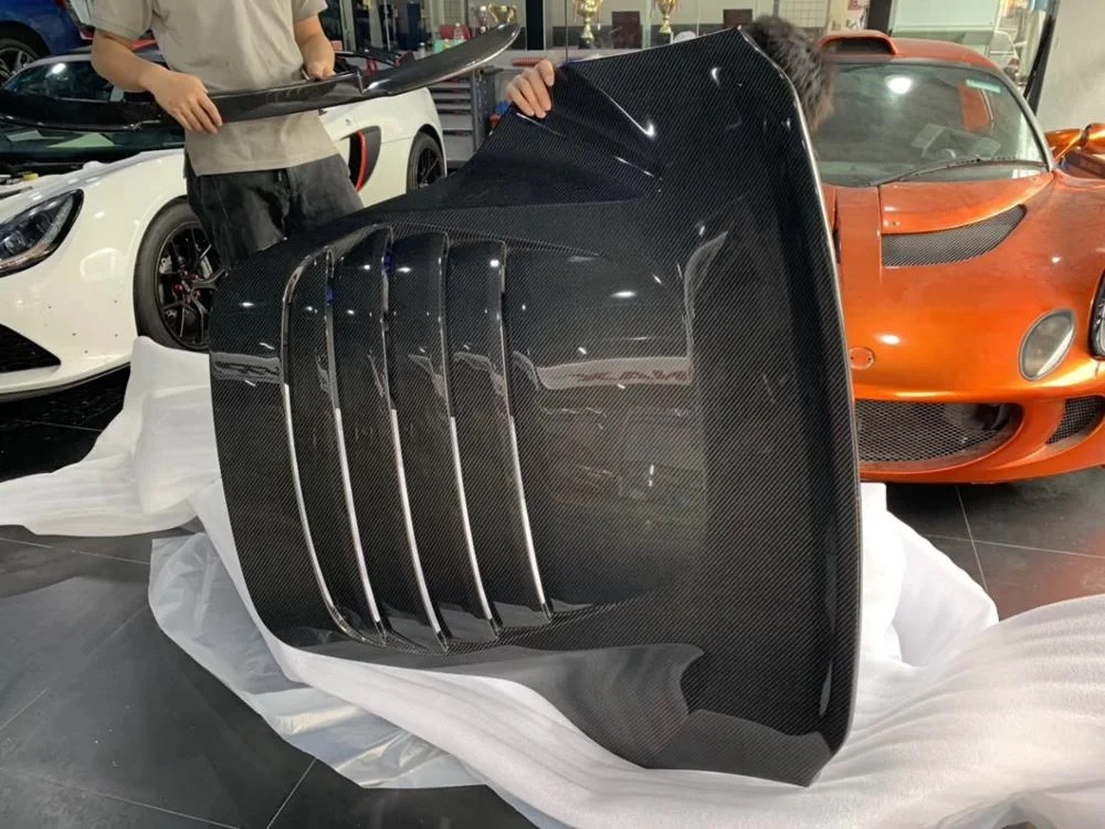 Picture 4: Evora 410 'Ducktail' Tailgate in Carbon Fibre (Evora, Evora S, Evora 400)