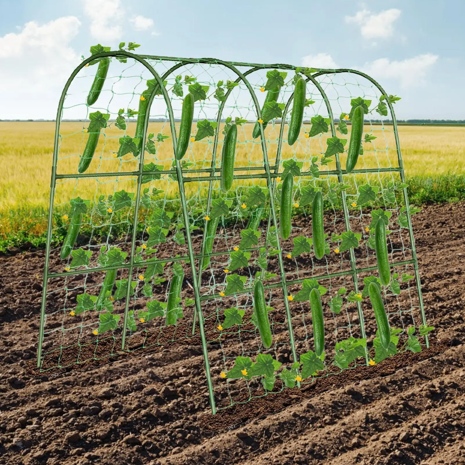 

Cucumber Trellis Vegetable Trellis for Cucumbers U-Frame Rack Weather-Resistant Metal Supports for Climbing Plants Greenhouse