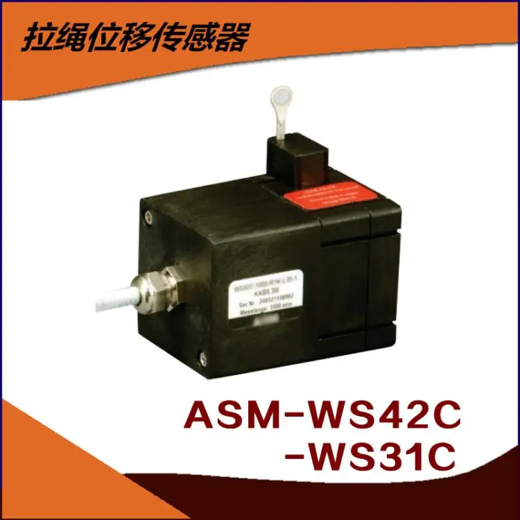 2025 WS31C Cable En… - image