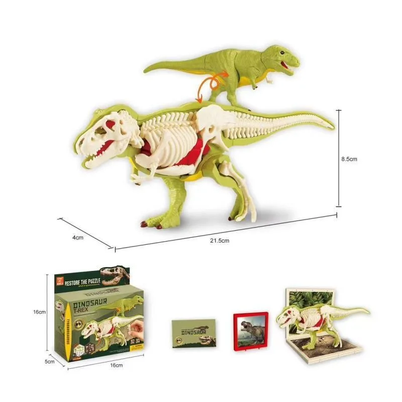 DIY zmontowane anatomiczne dinozaury zabawki dla dzieci montaż dla dzieci zwierząt kolekcjonerska zabawka dinozaura Model naukowy zestaw edukacyjny