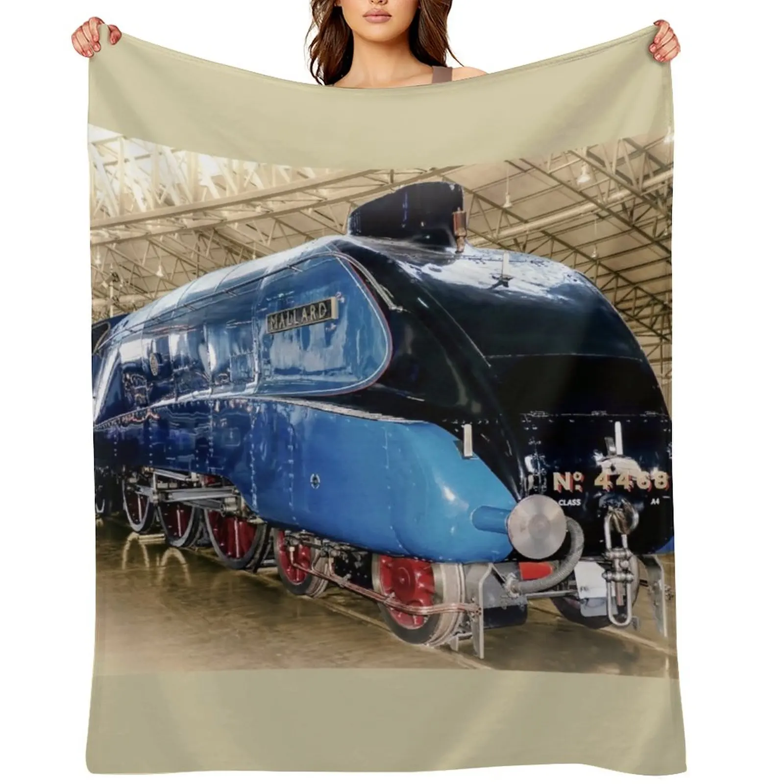 

Mallard Throw Blanket Soft Big Single for sofa Soft Plush Plaid Blankets