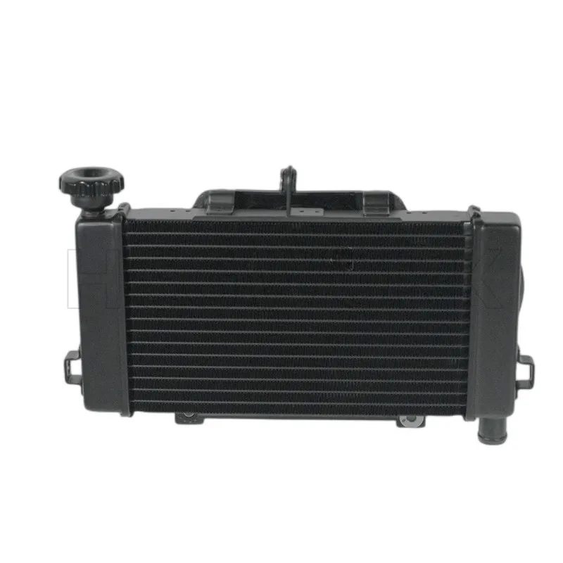 Motorcycle Radiator for Loncin Voge 500r Genuine Parts