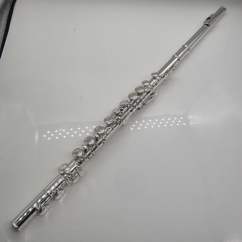 Professional Left Hand Flute with Case, C Tone, Silver Plated, Cupronickel Material, E Key Fluta, Musical Instrument, 16 Holes