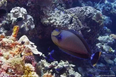 

Metal upgrading and refitting CNC process chassis frame For FMS 1/24 Xiaoqi FCX24 RC Car parts