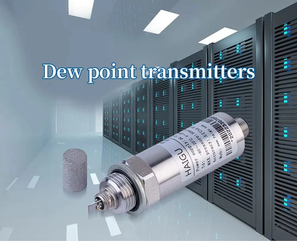 High-Precision High Accuracy Dew Point Temperature Sensor Thermo-Hygrometer RS485 Transmitter IP65 Data Storage