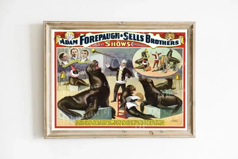 Antique Digital Print Performing Seals Adam Forepaugh And Sells Brothers Circus Poster Sea Lions Animals Canvas Wall Art Decor