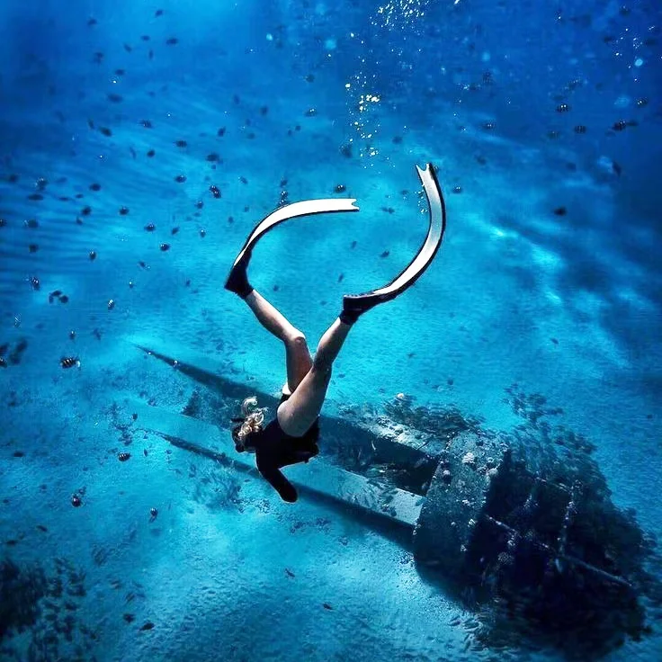 2026  Diving Flippers Long Bla - огляд і ціна Fin Diving Blade