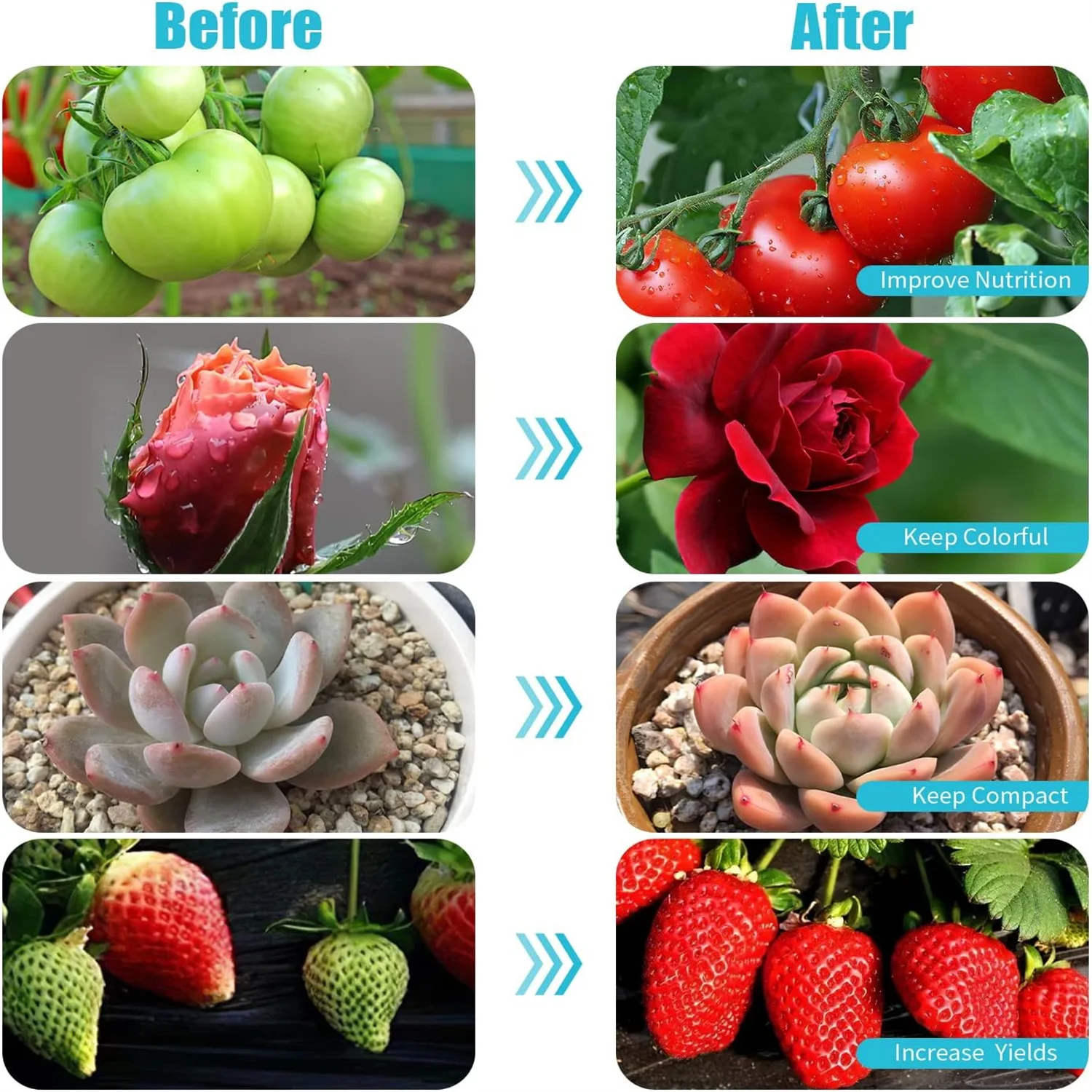KEBINCPLED USB 5V Clip Plant Grow Light LED Potted Plant Growth Lamp White Red Indoor Hydroponic System Seedling Flower Lighting - view 5