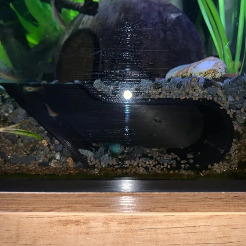 Fish and shrimp aquarium corner cave hiding and observation window