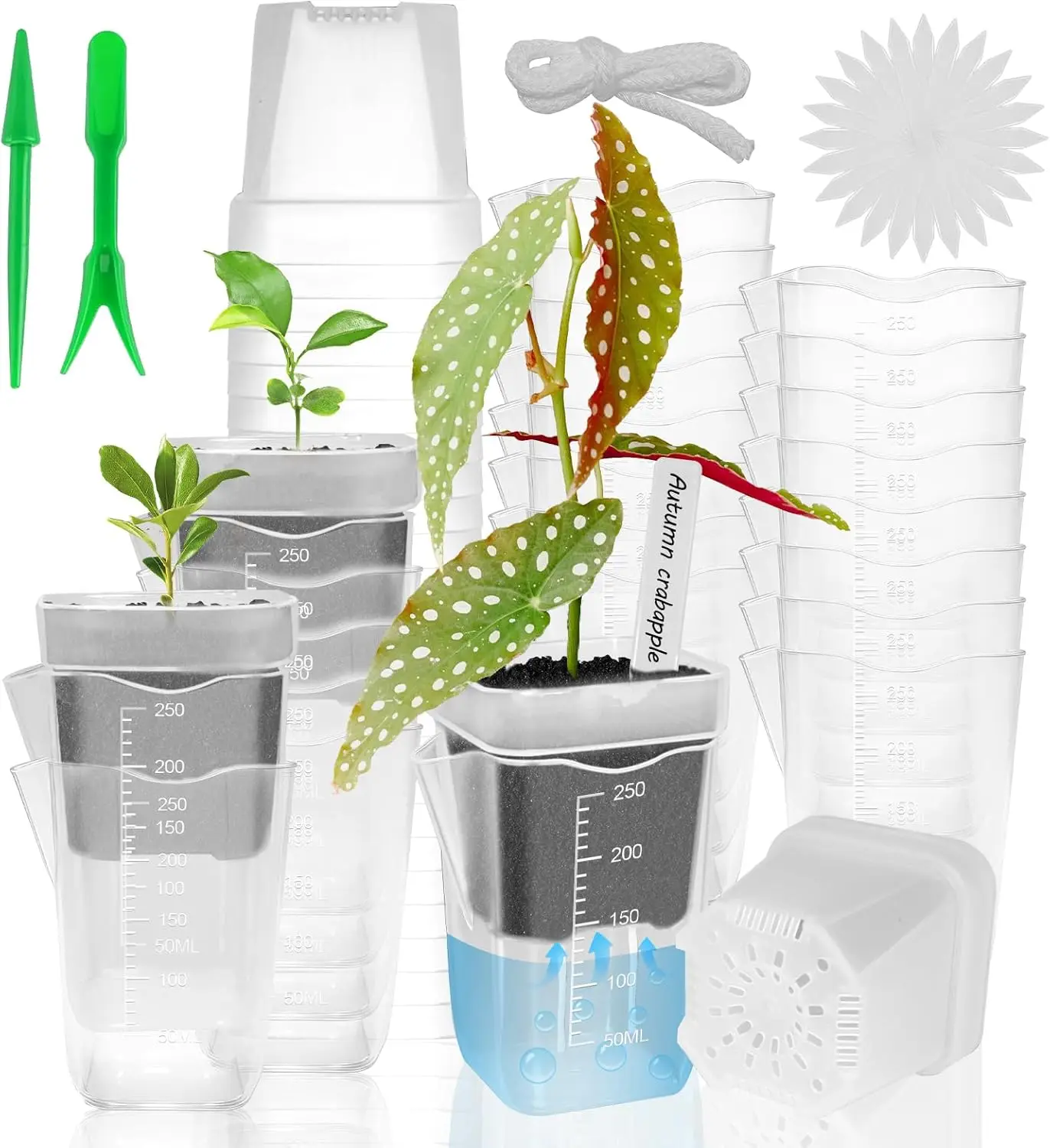 

24 Pack 2.5" Small Self Watering Pots for Indoor Plants, Clear Plant Pots with Drainage & Water Level, Semi Hydroponic P