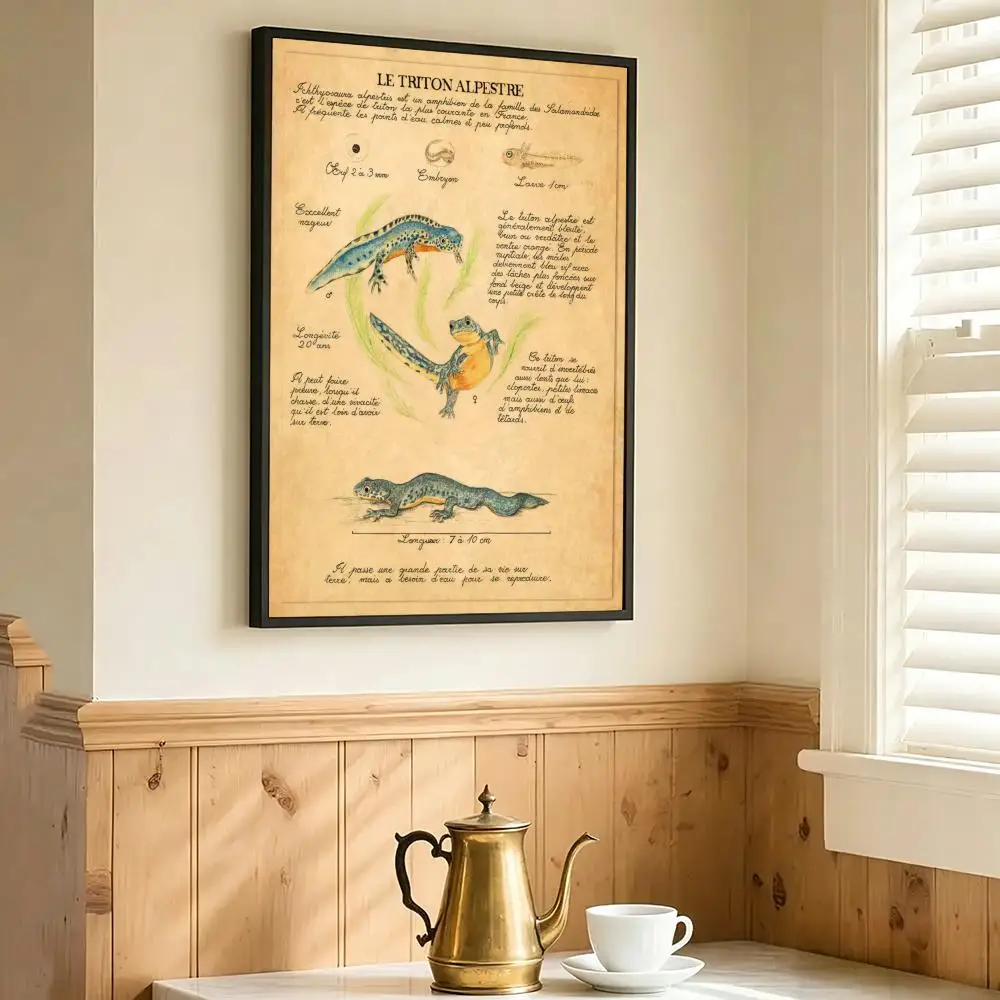 Bat Turtle Deer Wildlife Anatomy Laboratory Institute Poster Room Home Decoration Interior Wall Art Printing Garage Posters Gift view 4