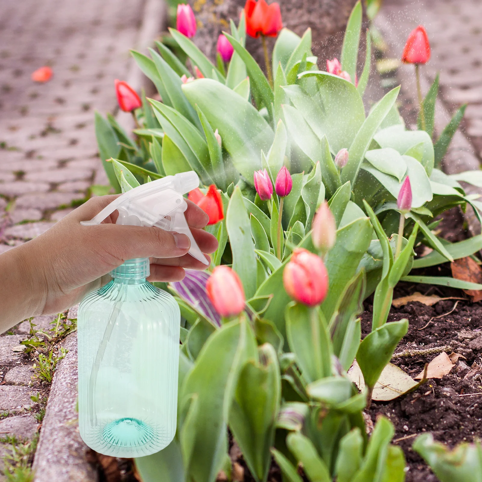 

500ml Roman Column Watering Can Fine Mist Nozzle Ergonomic Handle Ideal for Delicate Plants Seedlings Watering Can Sprayer