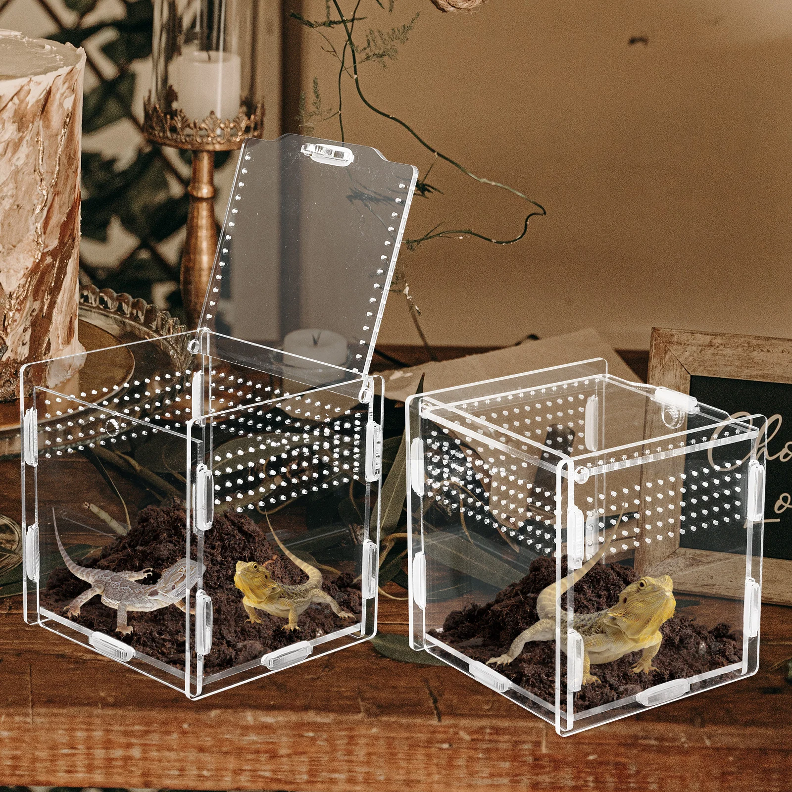 Acrylic Reptile Breeding Box Transparent Containers Small Pets Enclosure Spider Terrarium Lizard Tank Habitat Feed Boxes Cases
