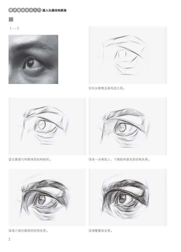 Introduction to Basic Art Techniques: Structural Drawing of the Life Head、Beginner's Guide: Step-by-Step & Rich Illustrations