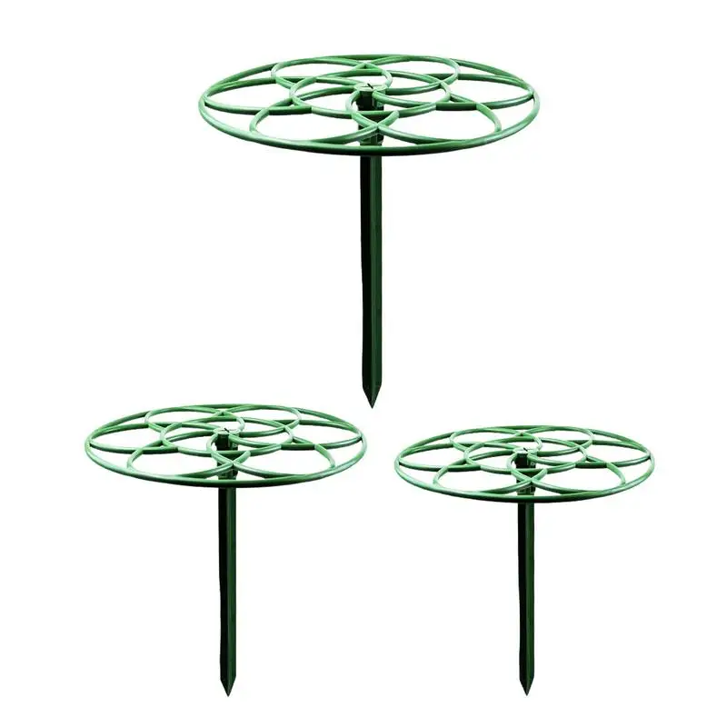 Garden Supports For Plants Plant Stakes And Supports For Potted Plants Garden Stakes Climbing Trellis Special Lollipop Shape