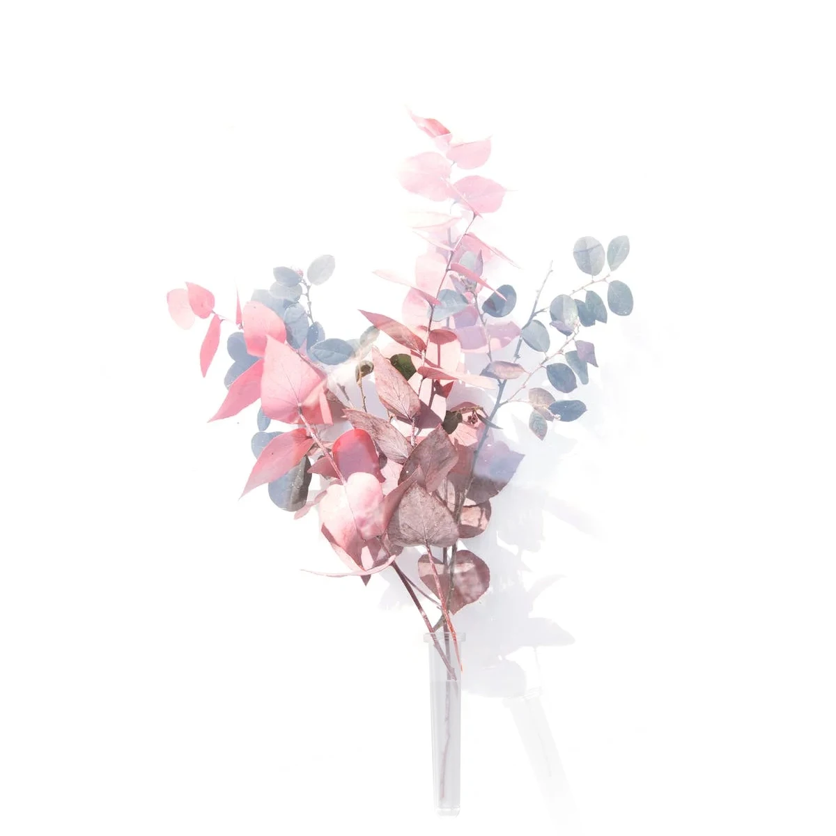 

50pcs Water Tube Leak- Nutrition Tube Transparent Durable Flower Water Container For Floral Arranging Florist