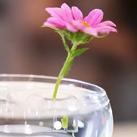 Floating Flower Vase Fresh Flower Hydroponic Vessel Floral Arrangement Artistic Vase Flower Holder Plant Display Home Decor